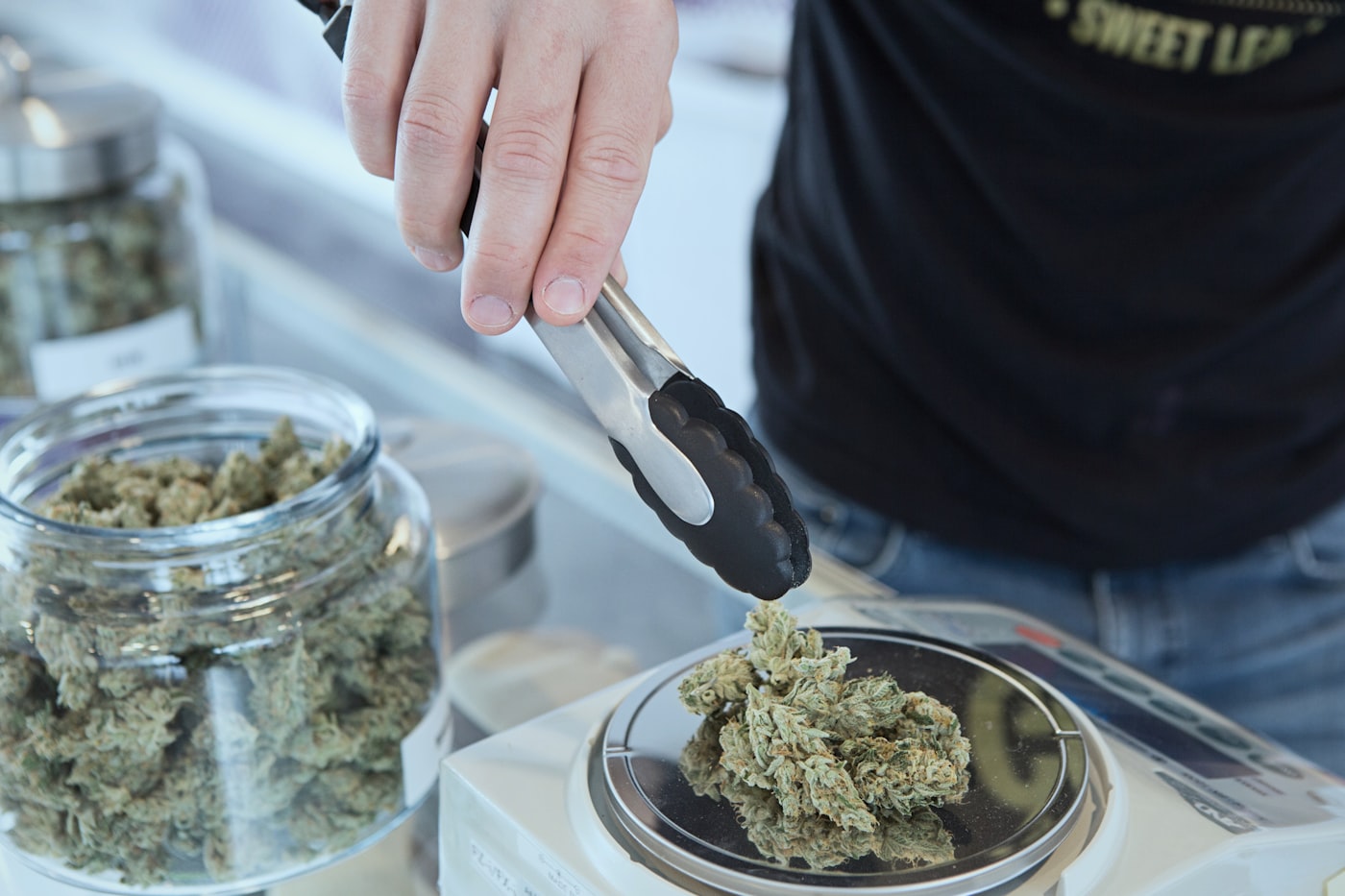 Budtender weighing cannabis flower at a licensed dispensary counter
