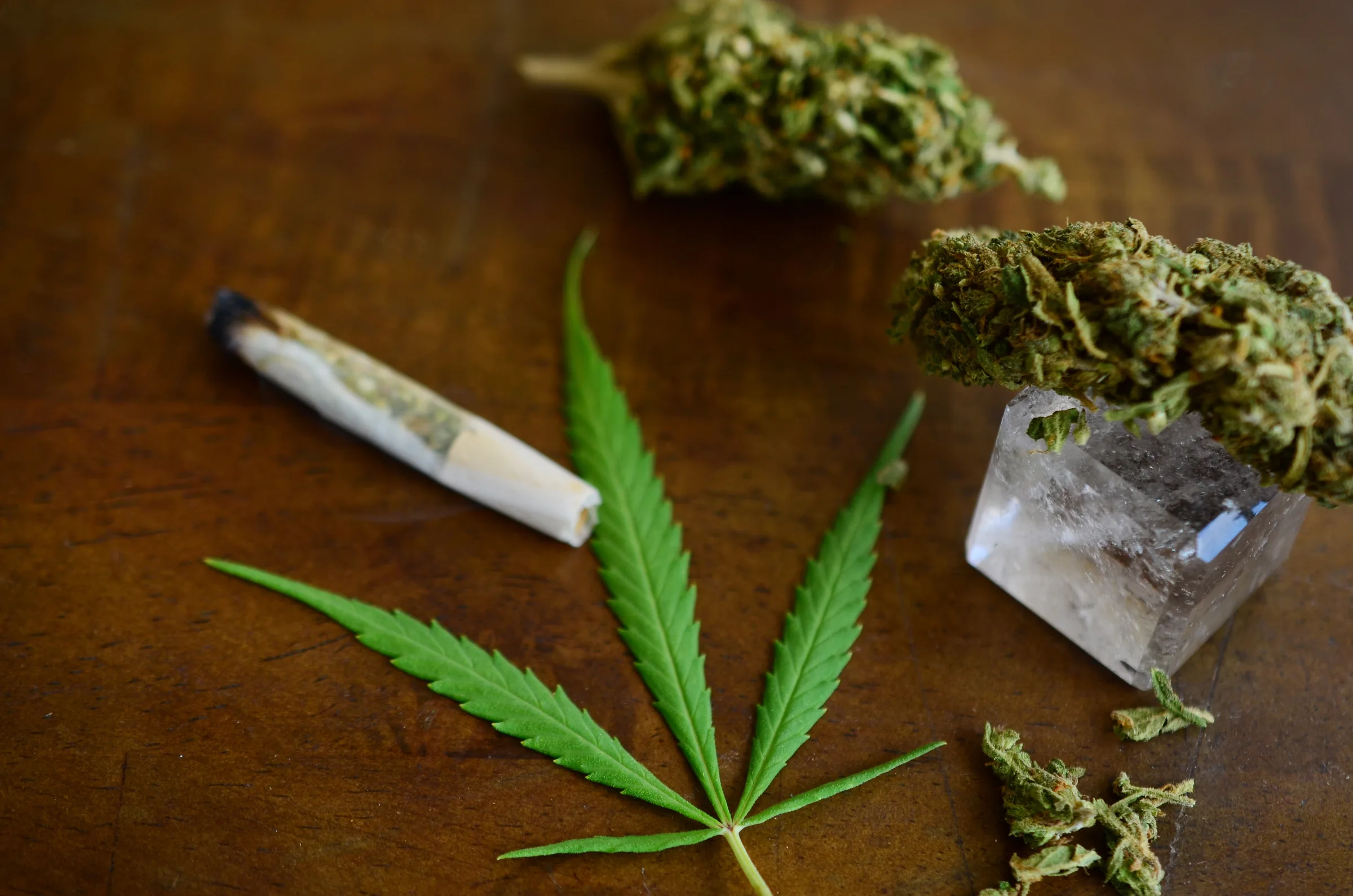 Bright, wellness-forward cannabis and alternative care imagery.