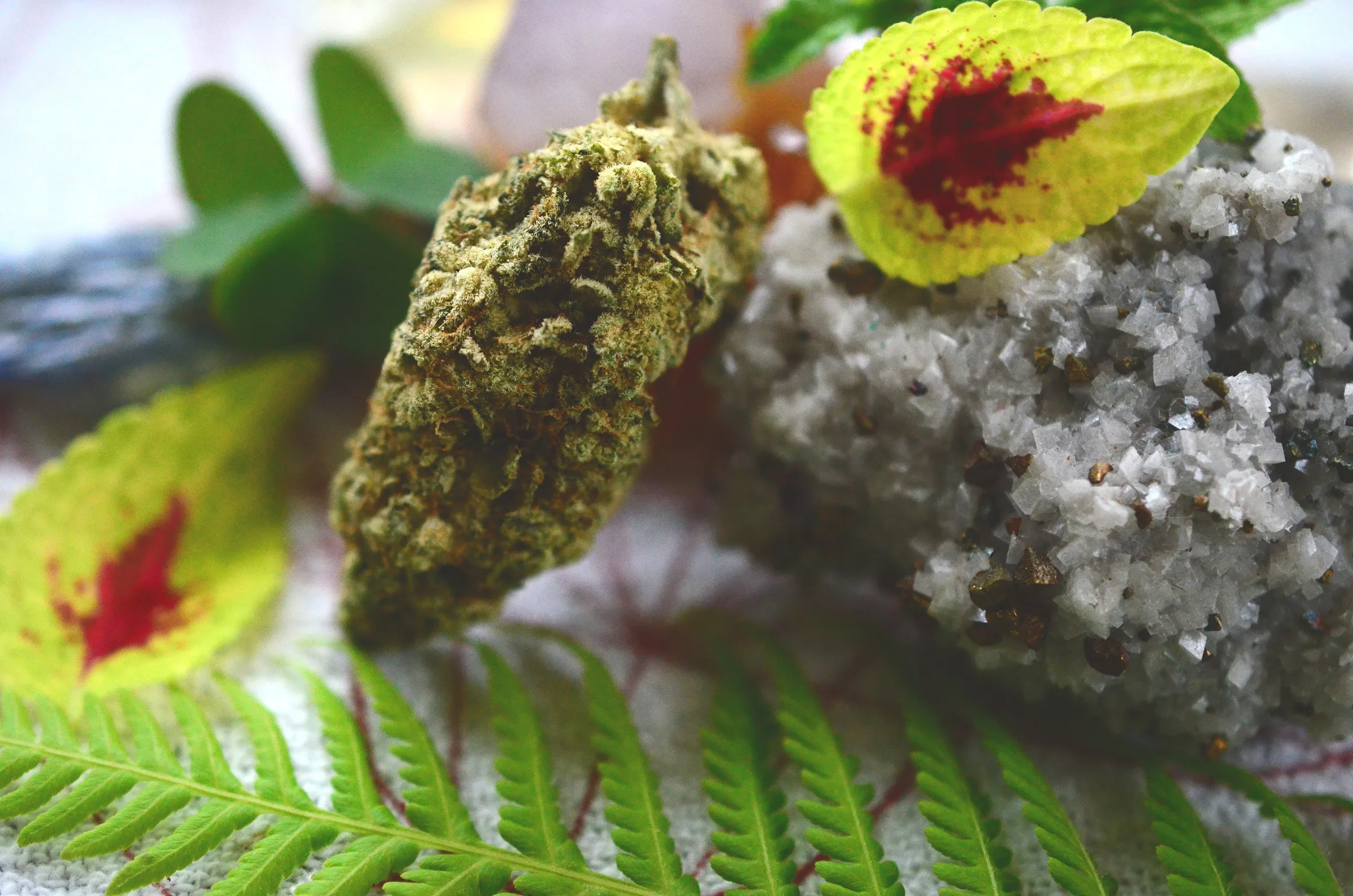 Crystal grid and holistic styling with fresh cannabis elements.