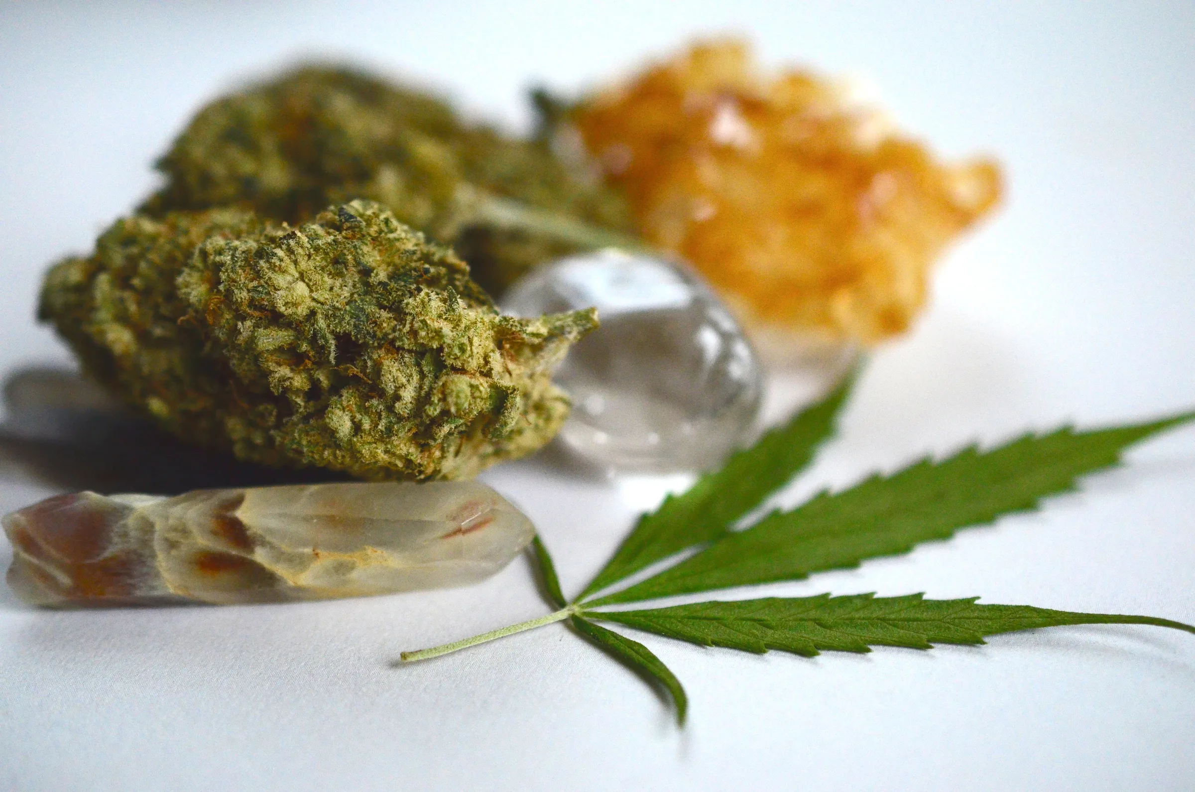 Cannabis lifestyle photography with natural light and layered greens.