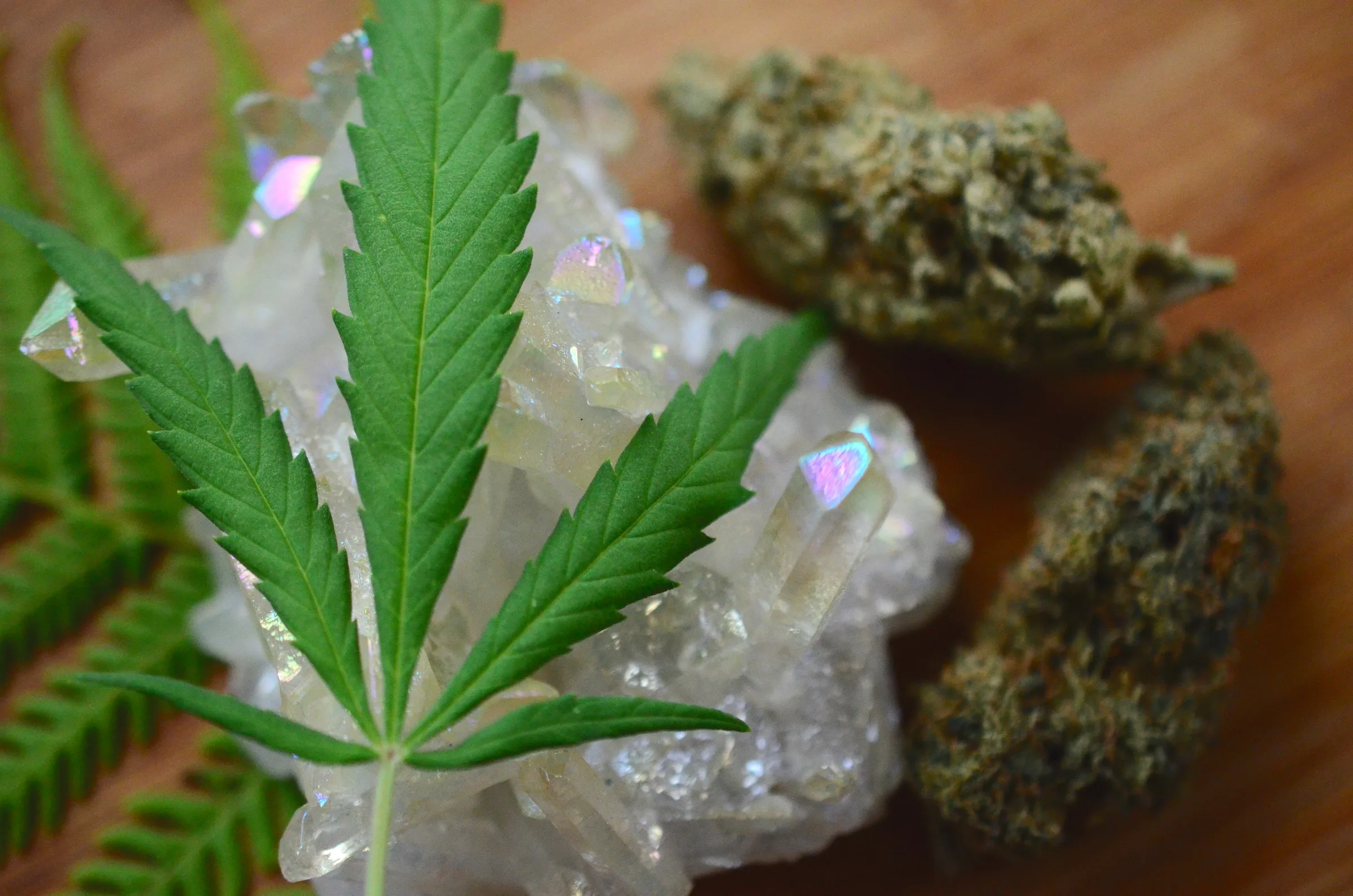 Detailed macro photograph of medicinal cannabis flower and texture.