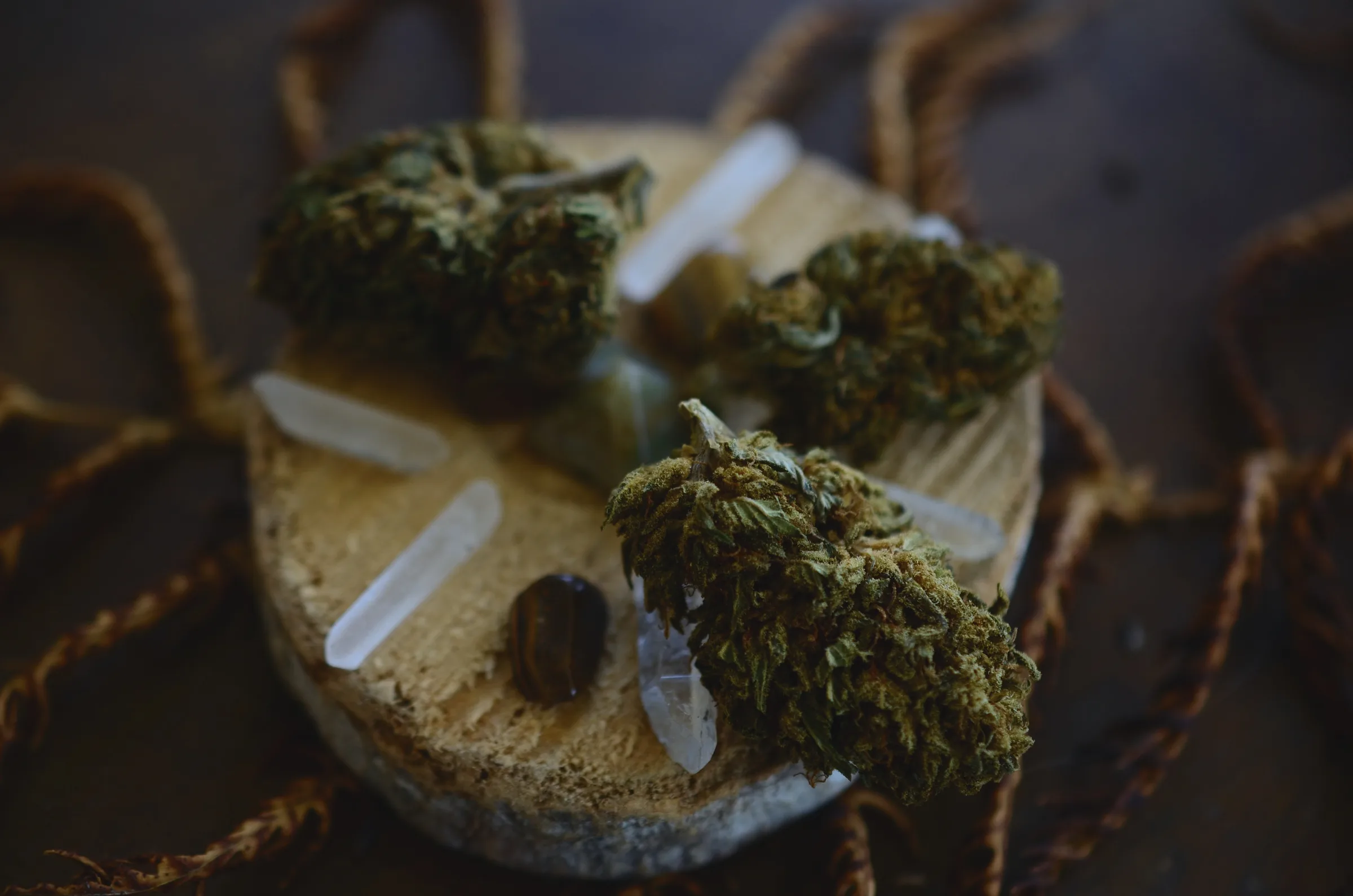 Premium flower and crystals—confident take-home selection.